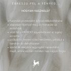 Nora Beauty Luminous primer 